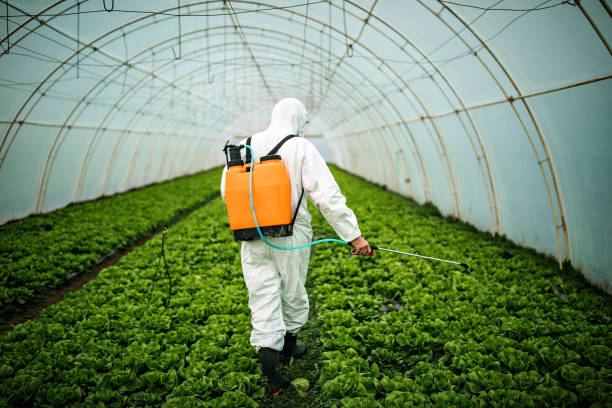 Best Local Pest Control Services  in Mary Esther, FL