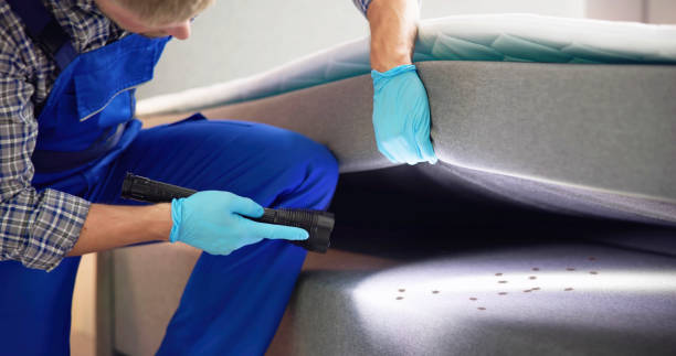 Best Best Pest Control Companies  in Mary Esther, FL