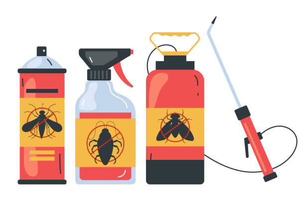 Best Local Pest Control Services  in Mary Esther, FL