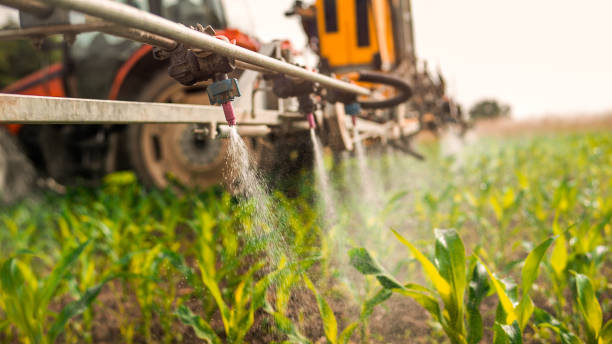 Best Commercial Pest Control Services  in Mary Esther, FL